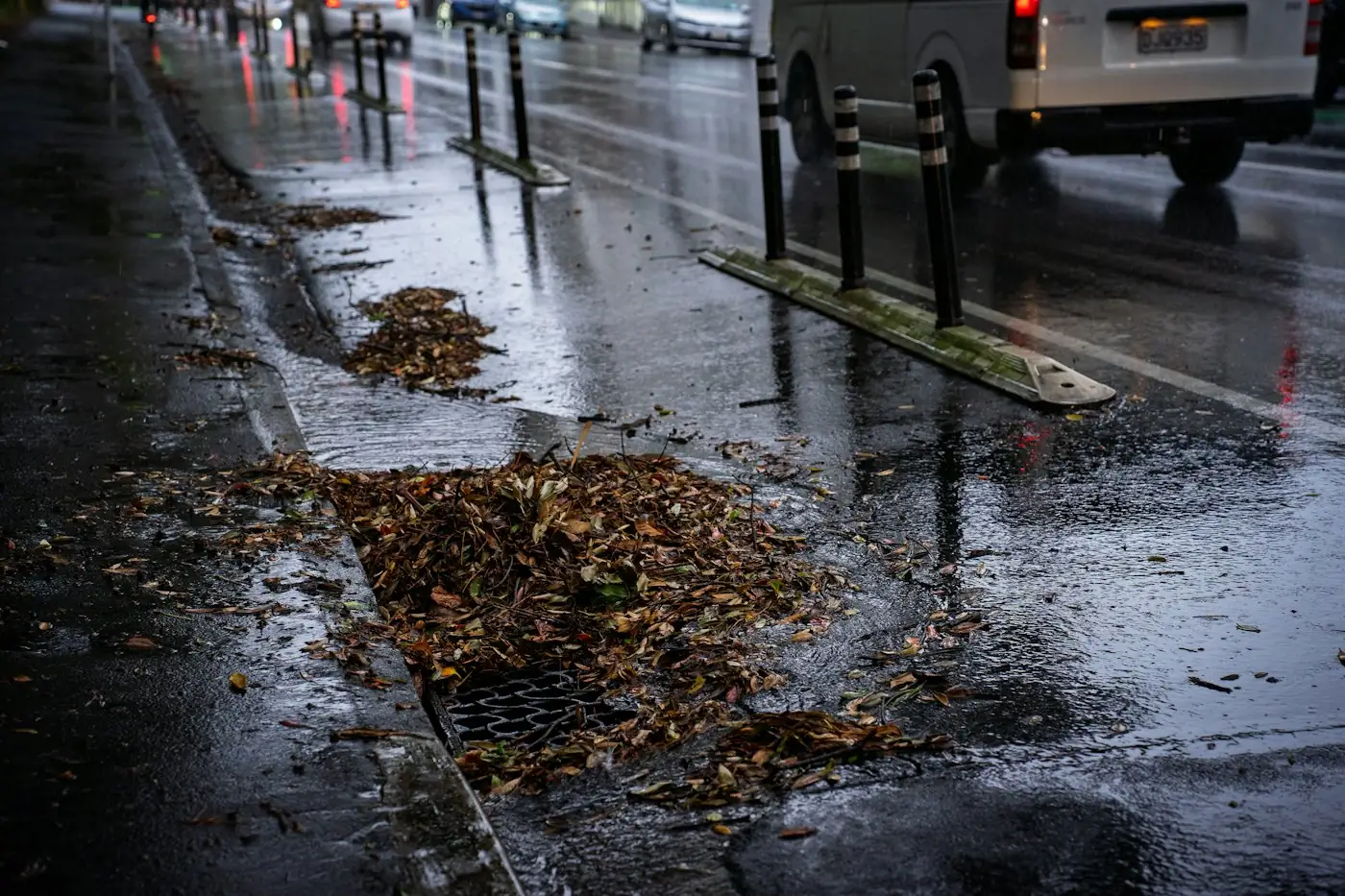 Avaloir d'eaux pluviales encombré de feuilles mortes