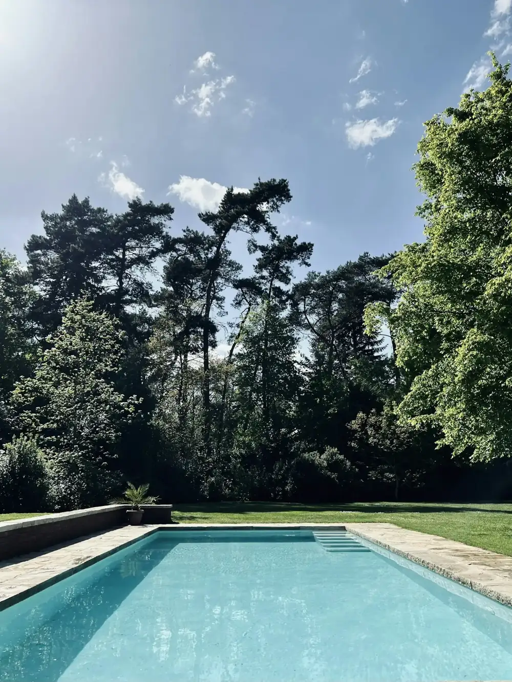 Piscine entourée d'arbres dans un jardin