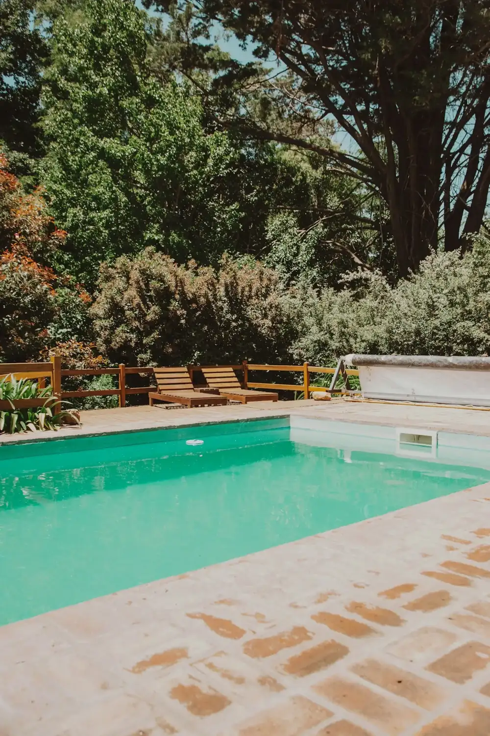 Piscine et terrasse en bois dans un jardin arboré à Coutras
